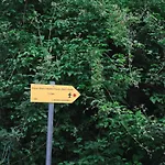 Dikellari