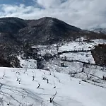 Dikellari *