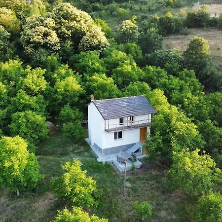 Dikellari * Pogradec