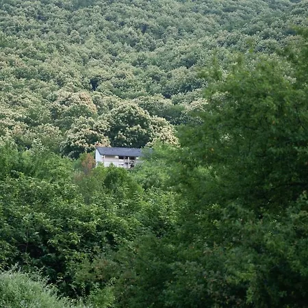 Dikellari Villa Pogradec