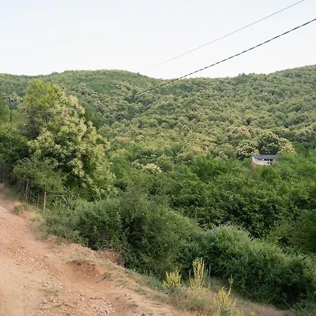Dikellari * بورغراديك