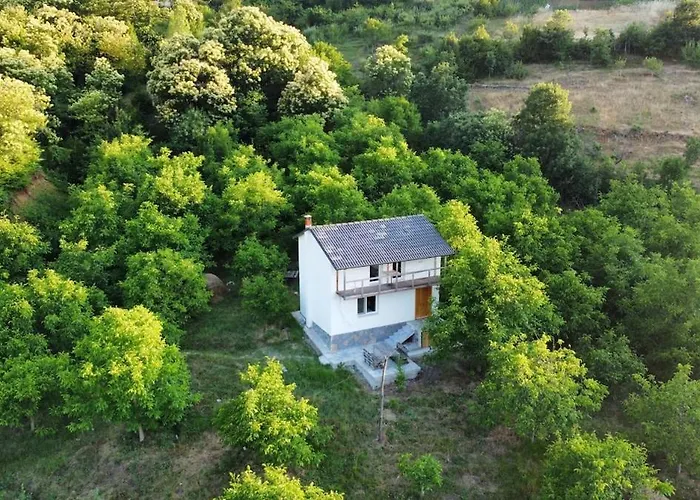 Dikellari * Pogradec