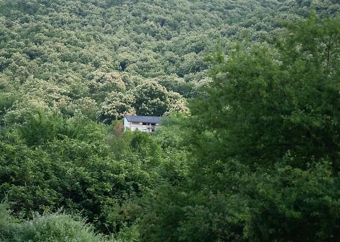 Dikellari Villa Pogradec