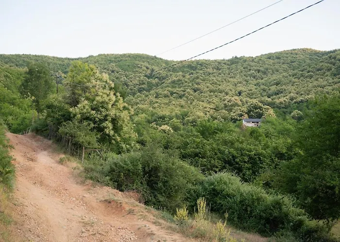 Dikellari * Pogradec